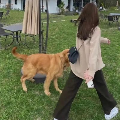 马歇尔